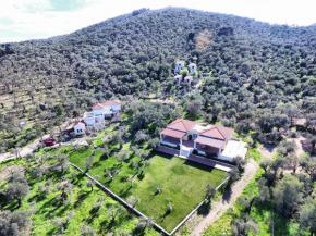 Gera's Olive Grove - Elaionas tis Geras